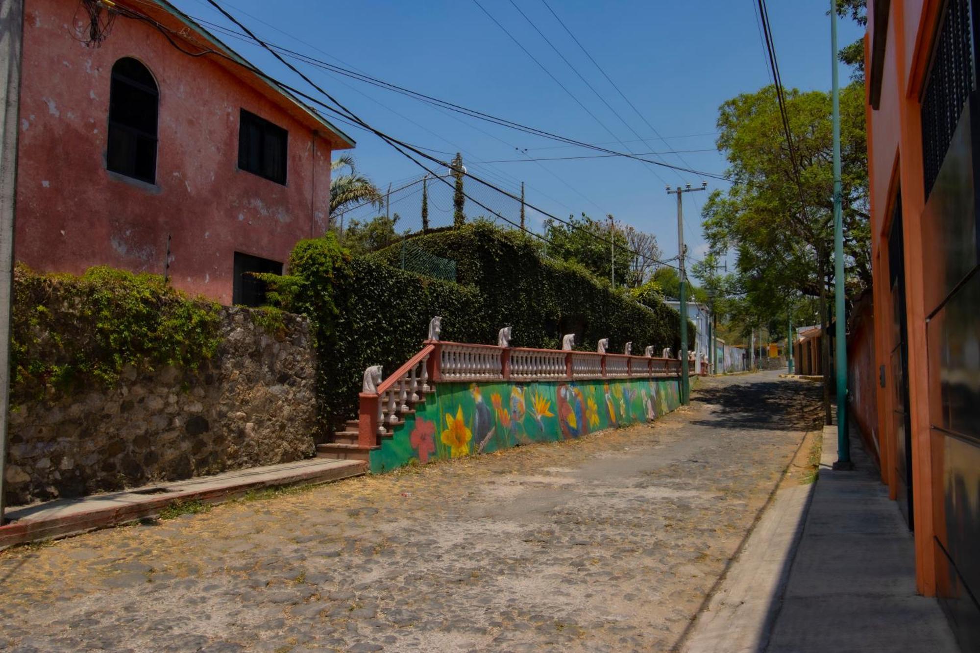 New! Bamboo Rooftop Villa Cuernavaca Exteriör bild